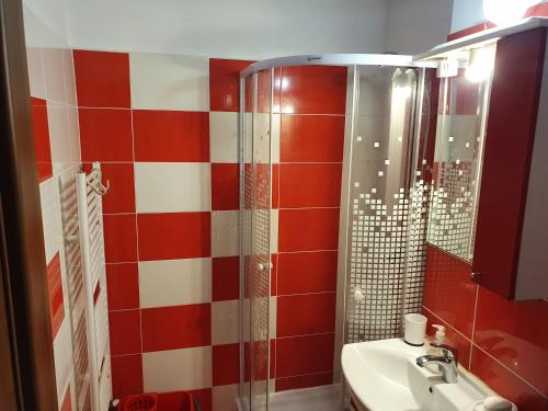 La salle de bains est pourvue d'une douche et d'un lavabo. dans l'établissement RZA Apartment, à Bistriţa