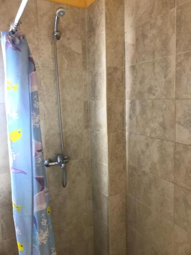 a shower with a shower curtain in a bathroom at Departamento tranquilo in Gualeguaychú