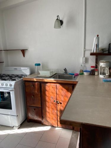 a kitchen with a sink and a stove at JAGUAR MORNING STAR in Caye Caulker