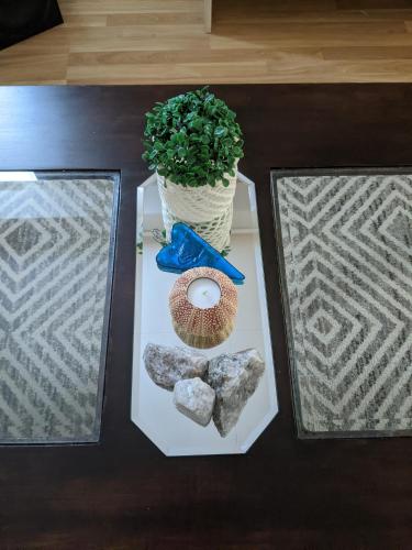 a table with a plant and a vase and rocks at Rural apartment in Dverberg