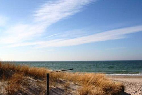 una playa de arena con vistas al océano en SONNENSEGEL App Nr 04 max 3 Pers en Dierhagen