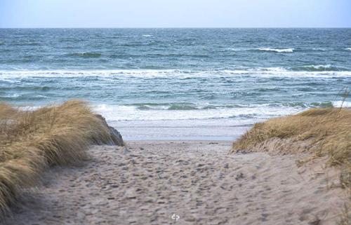 オストゼーバート・ディアーハーゲンにあるWINDLICHT App Nr 3 max 4 Persの海を背景に広がる砂浜