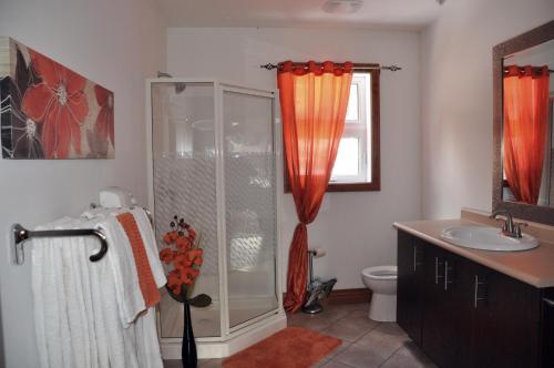 a bathroom with a shower and a sink at Chalet Rouge in New Richmond