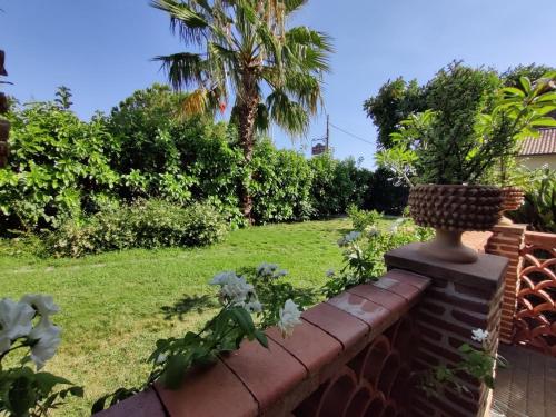 Κήπος έξω από το Villa delle Palme