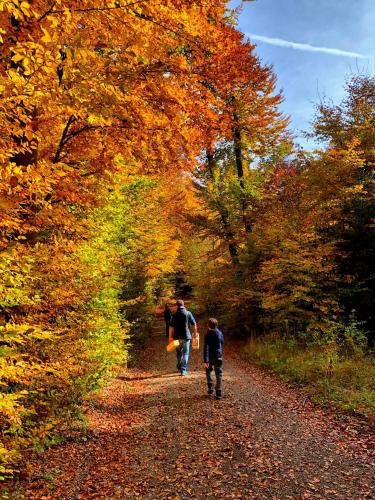 a couple of people walking down a dirt road at ALTE SCHULE WITTENBERG, 3 Ferienwohnungen für bis zu 12 Personen, an der Elbe, mit Garten in Lutherstadt Wittenberg
