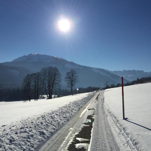 a snow covered road with the sun in the sky at Altenhauser Hof in Kössen