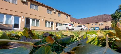 a field of plants in front of a building at Park 84 Vendégház in Vecsés