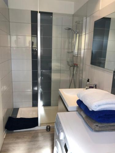 W łazience znajduje się prysznic, umywalka i pralka. w obiekcie Quiet Corner w mieście Colmar