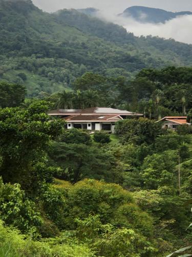 Beautiful estate in quiet surroundings close to beach