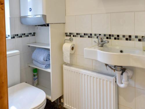 a small bathroom with a sink and a toilet at Bay Cottage in Par