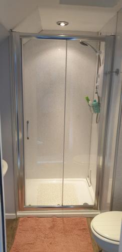 a glass shower in a bathroom with a toilet at Cosy apartment in popular harbour town in Kirkcudbright