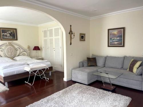 ein Wohnzimmer mit einem Sofa, einem Sofa und einem Tisch in der Unterkunft Luxury apartment in villa in La Orotava