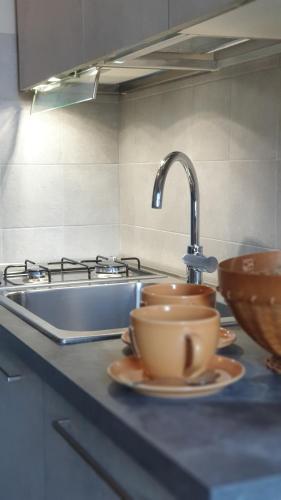 um balcão de cozinha com um lavatório e duas tigelas em bb26 Piave apartment city center em Cremona