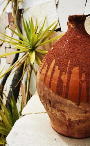 a vase sitting on a table next to a plant at Vue magnifique, piscine privée chauffée et sauna à 10min de Monaco in Roquebrune-Cap-Martin