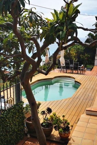 a swimming pool on a wooden deck with a tree at Vue magnifique, piscine privée chauffée et sauna à 10min de Monaco in Roquebrune-Cap-Martin