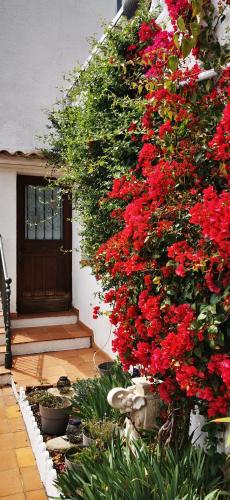 a bunch of red flowers on the side of a building at Vue magnifique, piscine privée chauffée et sauna à 10min de Monaco in Roquebrune-Cap-Martin
