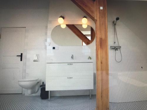 W łazience znajduje się umywalka, toaleta i lustro. w obiekcie Marymont Metro Apartment w Warszawie