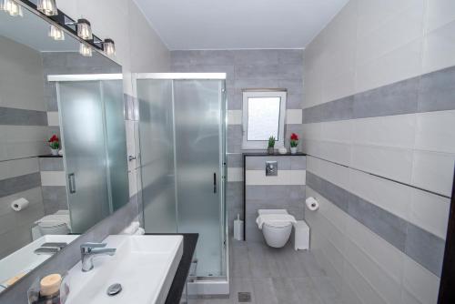 La salle de bains est pourvue d'une douche, d'un lavabo et de toilettes. dans l'établissement Mary's luxury apartment Elaia., à Elia Laconias