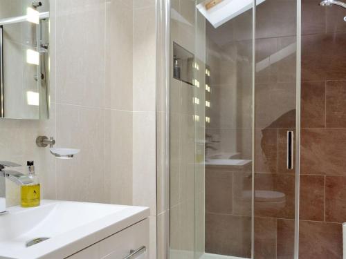 a bathroom with a shower with a sink and a toilet at King Offa Lodge - Uk10261 in Penrhôs