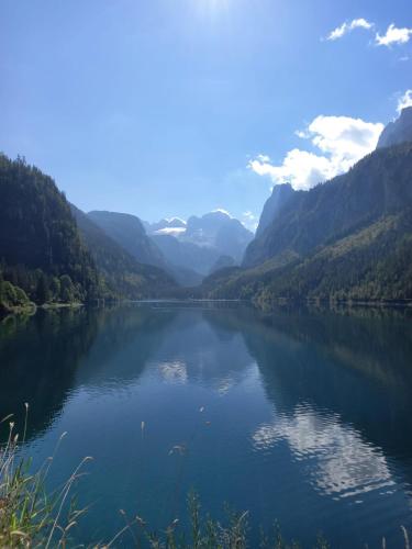 a view of a lake with mountains in the background at Landhaus Schwaighofer Dachstein West in Russbach am Pass Gschütt