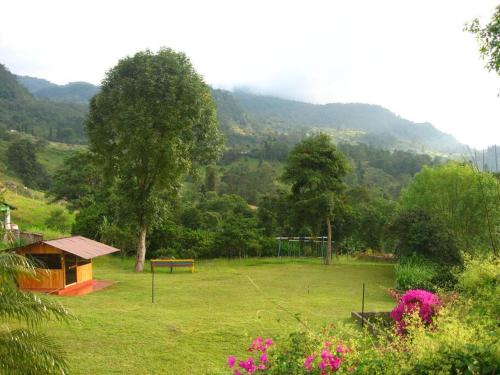 a park with a basketball hoop in a field at Cabañita en el Parque Natural Ecocenter in Santandercito