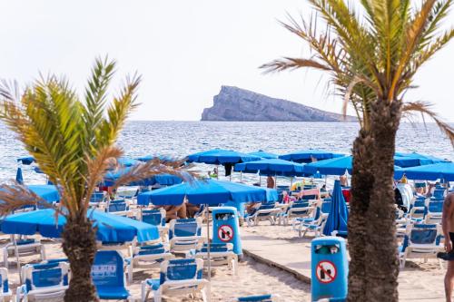 a beach with chairs and blue umbrellas and palm trees at Santa Margarita - Benisun in Benidorm