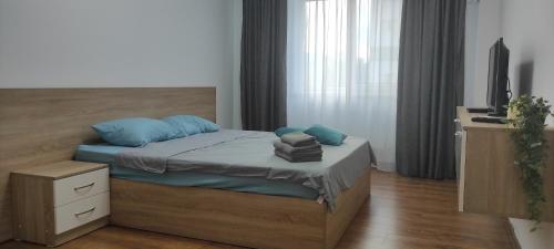 奇西瑙的住宿－Brown Aparts，一间卧室配有一张带蓝色枕头的床和电视。