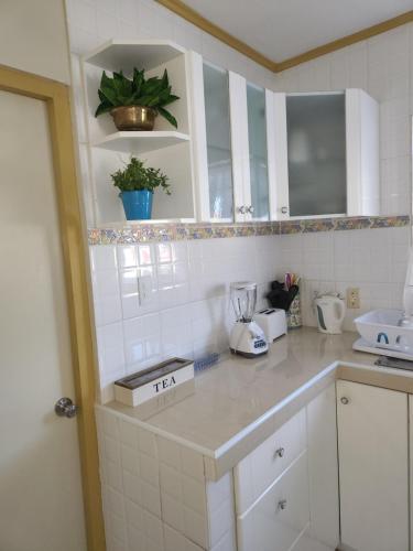 a kitchen with white cabinets and a counter top at The Lush in Willemstad