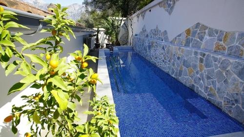 PENTHOUSE STOLIV 5m/sea Pool/Spa Area Jetty+Sunbeds Secluded location