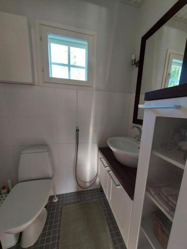 a bathroom with a toilet and a sink and a window at Wanha Rojola in Syöte