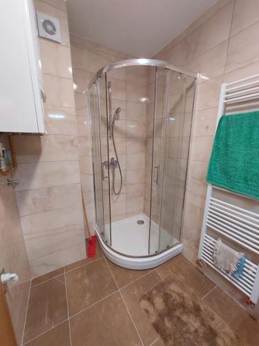 a shower with a glass door in a bathroom at Sara Sarajevo in Bjelašnica