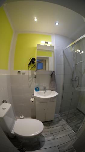 a bathroom with a toilet and a sink and a shower at na Słowackiego9m7 in Szklarska Poręba