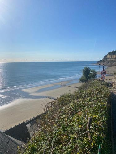 a view of a beach and the ocean at The Bay house Apartments , shanklin in Shanklin