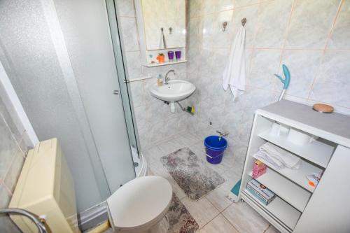 a bathroom with a shower and a toilet and a sink at House Vagabond in Tkon