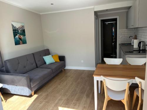 a living room with a couch and a table at Apartamenty i Domki WyDmy Międzywodzie in Międzywodzie