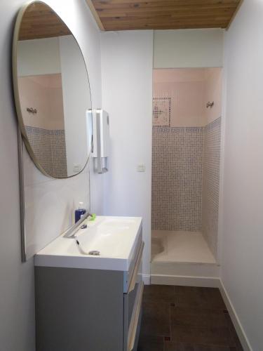 a bathroom with a sink and a shower at Gabrielle 40m2, Netflix,jardin in Sainte-Savine