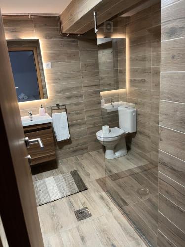 a bathroom with a toilet and a sink and a mirror at Apartmani Tesla in Soko Banja