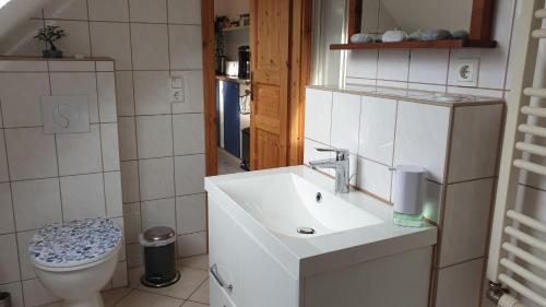 uma casa de banho com um lavatório e um WC em HässelHof - 80qm Ferienwohnung im Zentrum von Bad Liebenwerda em Bad Liebenwerda