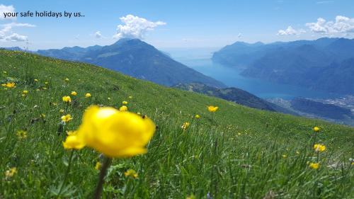 Campi Casa – Photos 5