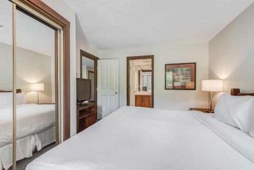 Blackcomb Springs Suites by CLIQUE Image