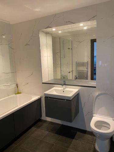 a bathroom with a sink and a toilet and a mirror at Lovely and comfortable flat in Chelsea. in London