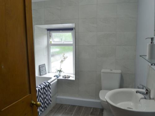 a bathroom with a sink and a toilet and a window at Bwthyn Pabi in Penmachno