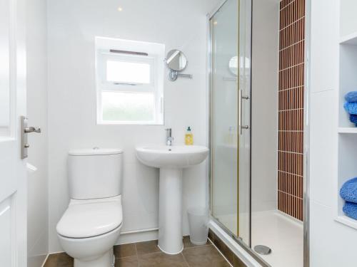 a bathroom with a toilet and a sink and a shower at The Bothy in Mathon