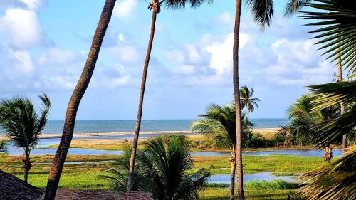 uma vista para uma praia com palmeiras e para o oceano em Bangalô Kauli Seadi Eco-Resort em São Miguel do Gostoso