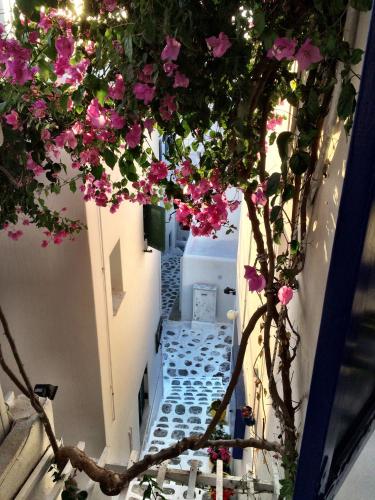 a view of a stairway with pink flowers at Lefteris in Mýkonos City