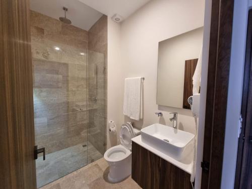une salle de bain avec toilettes, lavabo et douche dans l'établissement Acogedor estudio 305 wifi netflix Tulum Aldea Zama, à Tulum