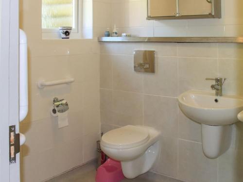 uma casa de banho com um WC e um lavatório em The Garden House - Uk10987 em Llandogo