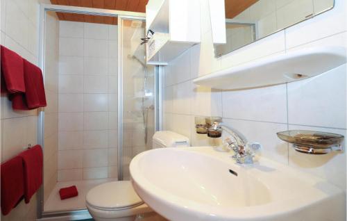 a white bathroom with a sink and a toilet at Amazing Apartment In Dalaas With Wifi And 1 Bedrooms in Dalaas