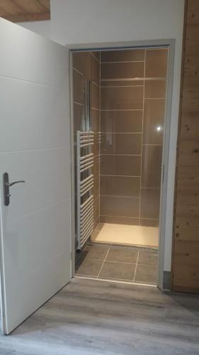 łazienka z kabiną prysznicową obok drzwi w obiekcie COTTAGE 1 in the city w mieście Chambéry