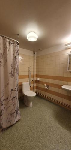 a bathroom with a toilet and a shower curtain at Nipanhotellet in Sollefteå